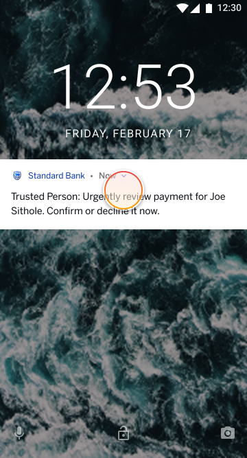 trustedPerson_pushNotification_reviewPayment.png