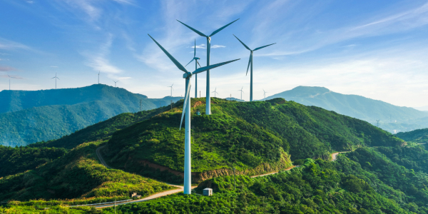 Future proofing your business