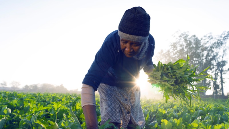 Gallery Image 5 - AND01173