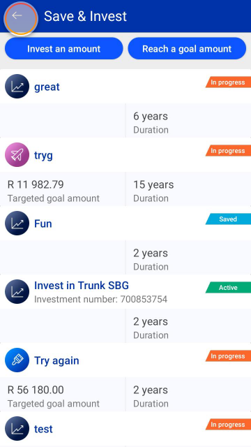SaveInvest_summary.png
